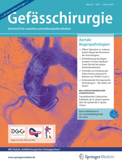 Ausgabe 1/2025