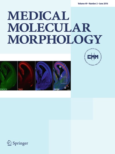 Anti-BP180-type mucous membrane pemphigoid immunoglobulin G shows ...