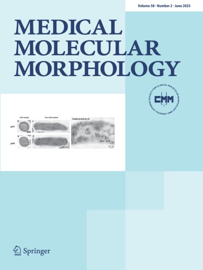 Medical Molecular Morphology 2/2025