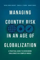 Managing Country Risk In An Age Of Globalization Springerprofessional De