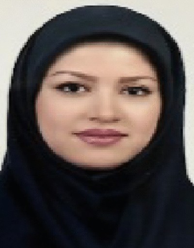 https://media.springernature.com/lw{width}/springer-static/image/art%3A10.1007%2Fs11235-024-01140-7/MediaObjects/11235_2024_1140_Figc_HTML.jpg?as=jpg