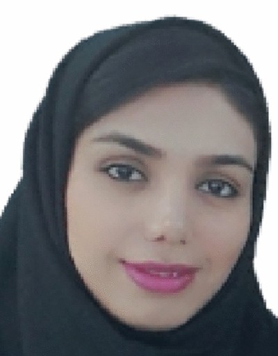 https://media.springernature.com/lw{width}/springer-static/image/art%3A10.1007%2Fs11235-024-01140-7/MediaObjects/11235_2024_1140_Figd_HTML.jpg?as=jpg