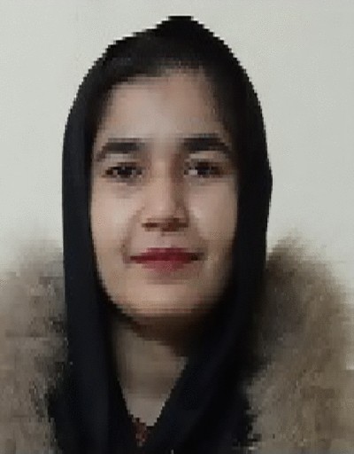 https://media.springernature.com/lw{width}/springer-static/image/art%3A10.1007%2Fs11235-025-01290-2/MediaObjects/11235_2025_1290_Figd_HTML.jpg?as=jpg