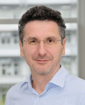 https://media.springernature.com/lw{width}/springer-static/image/art%3A10.1007%2Fs35114-025-2188-7/MediaObjects/35114_2025_2188_Figc_HTML.jpg?as=jpg