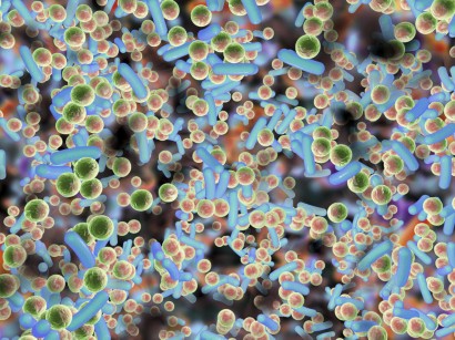 Bakteriologie Diagnostik Therapie Bei Infektionen Springermedizin De