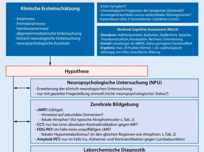 Neurologische Diagnostik Neurologische Diagnostik Springermedizin De