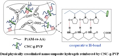 Dual Physically Crosslinked Nanocomposite Hydrogels Reinforced By Poly N Vinylpyrrolidone Grafted Cellulose Nanocrystal With High Strength Toughness And Rapid Self Recovery Springerprofessional De