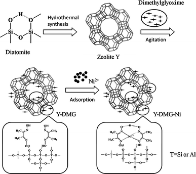 nickel dmg structure nickel dmg structure