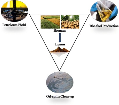 A Review On Lignin Utilization In Petroleum Exploration Petroleum Products Formulation Bio Fuel Production And Oil Spill Clean Up Springerprofessional De