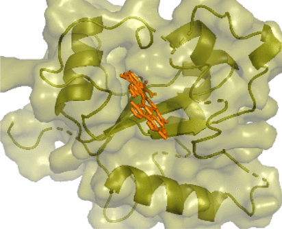 View full size image