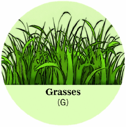 View full size image