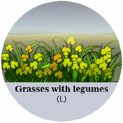 View full size image