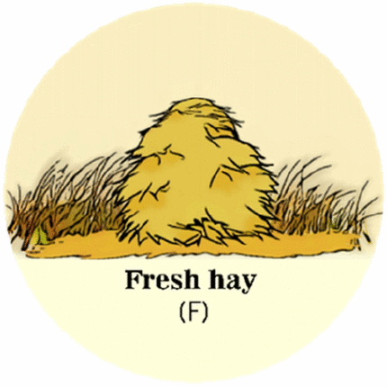 View full size image