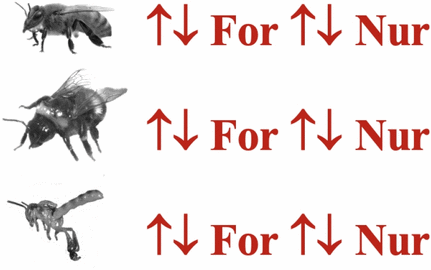 View full size image