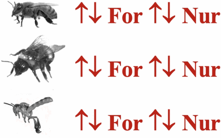 View full size image