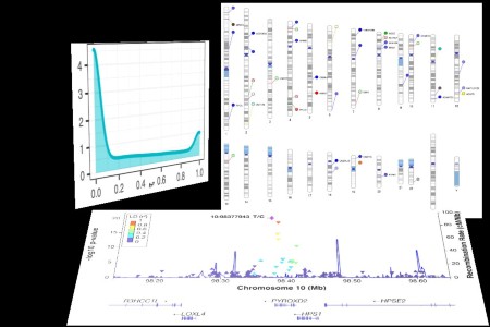 Featured article image Feb 2021 