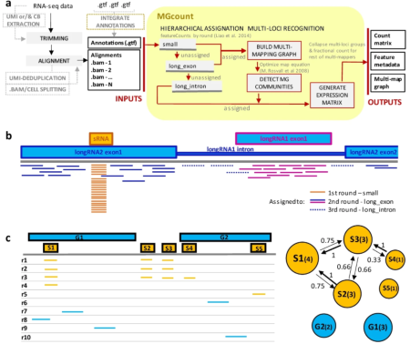 Fig 2 - BMC Bioinformatics 22, 126 (2021). https://doi.org/10.1186/s12859-021-04061-3