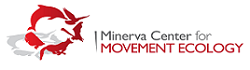 minerva logo