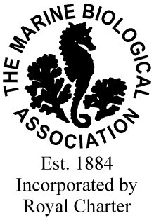 MBA Logo