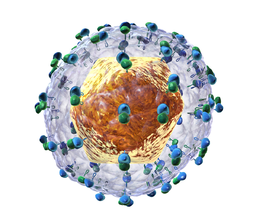 Viral hepatitis elimination