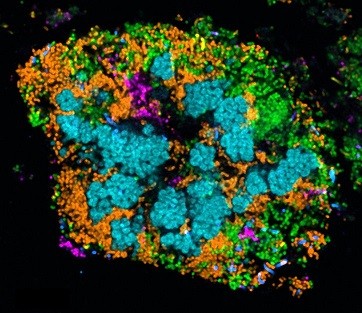 New Content Item (2)