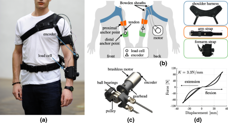 Featured article Xiloyannis et al