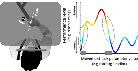 Boosting robot-assisted rehabilitation of stroke hemiparesis by individualized selection of upper limb movements – a pilot study