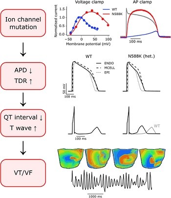 Featured review - SQTS