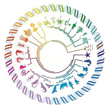 In The Light Of Evolution