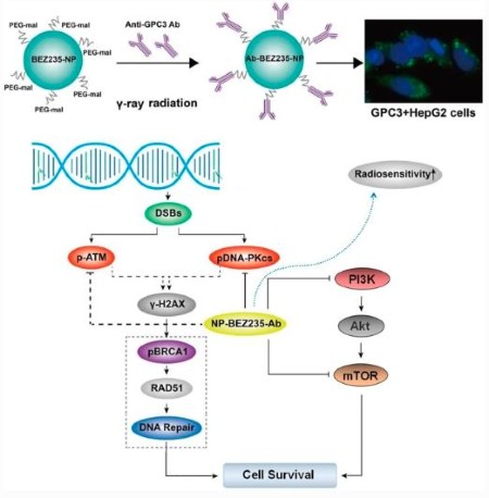 Nanoscale Research Letters Home Page