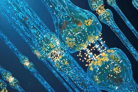 © happyvector071 / Fotolia