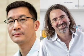 Shawn Chen and Francesco Stellacci: the recipients of the 2023 Trailblazer Award