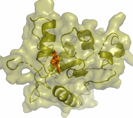 View full size image