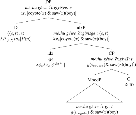 Dp Structure And Internally Headed Relatives In Washo Springerlink