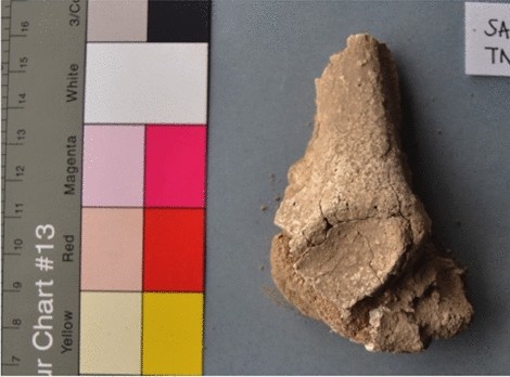 View full size image