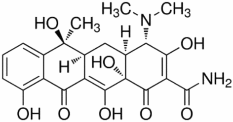 View full size image