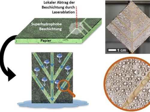 Laser steigert Wasserertrag von Nebelkollektoren