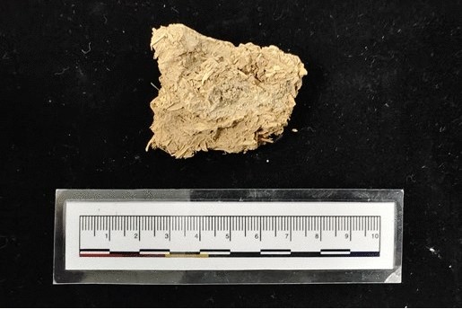 View full size image