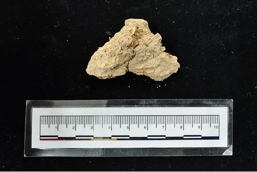 View full size image