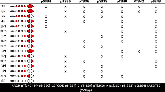 View full size image