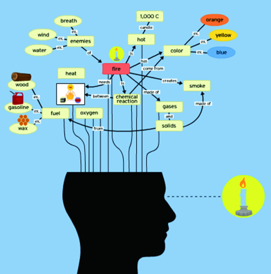 Graphic Organizers | SpringerLink