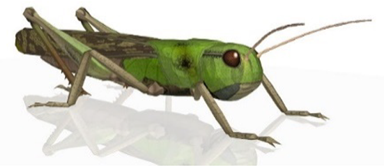 View full size image