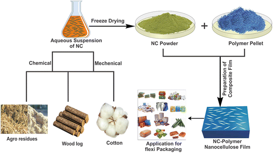 Nanocellulose-Polymer Composites: Novel Materials for Food Packaging  Applications | SpringerLink