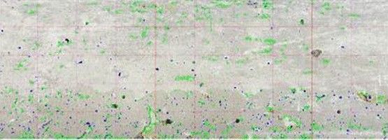 View full size image