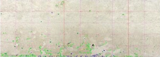 View full size image