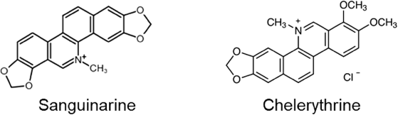 View full size image