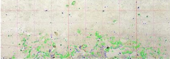 View full size image