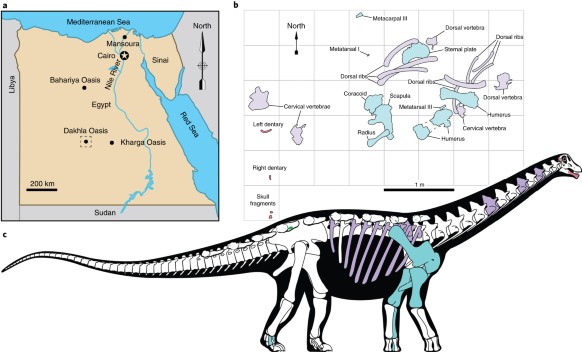 https://media.springernature.com/lw582/springer-static/image/art%3A10.1038%2Fs41559-017-0455-5/MediaObjects/41559_2017_455_Fig1_HTML.jpg