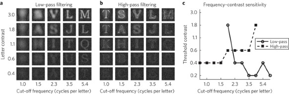 Spatial-frequency analysis of perceptual channel mediating letter identification.