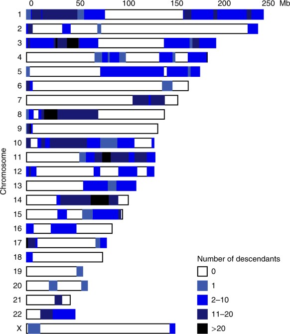 Este gráfico do estudo em referência indica em azul as partes do genoma de Hans Jonatan que foram reconstruídas. Quanto mais escuro o tom, mais presente aquele pedaço de DNA entre seus descendentes.